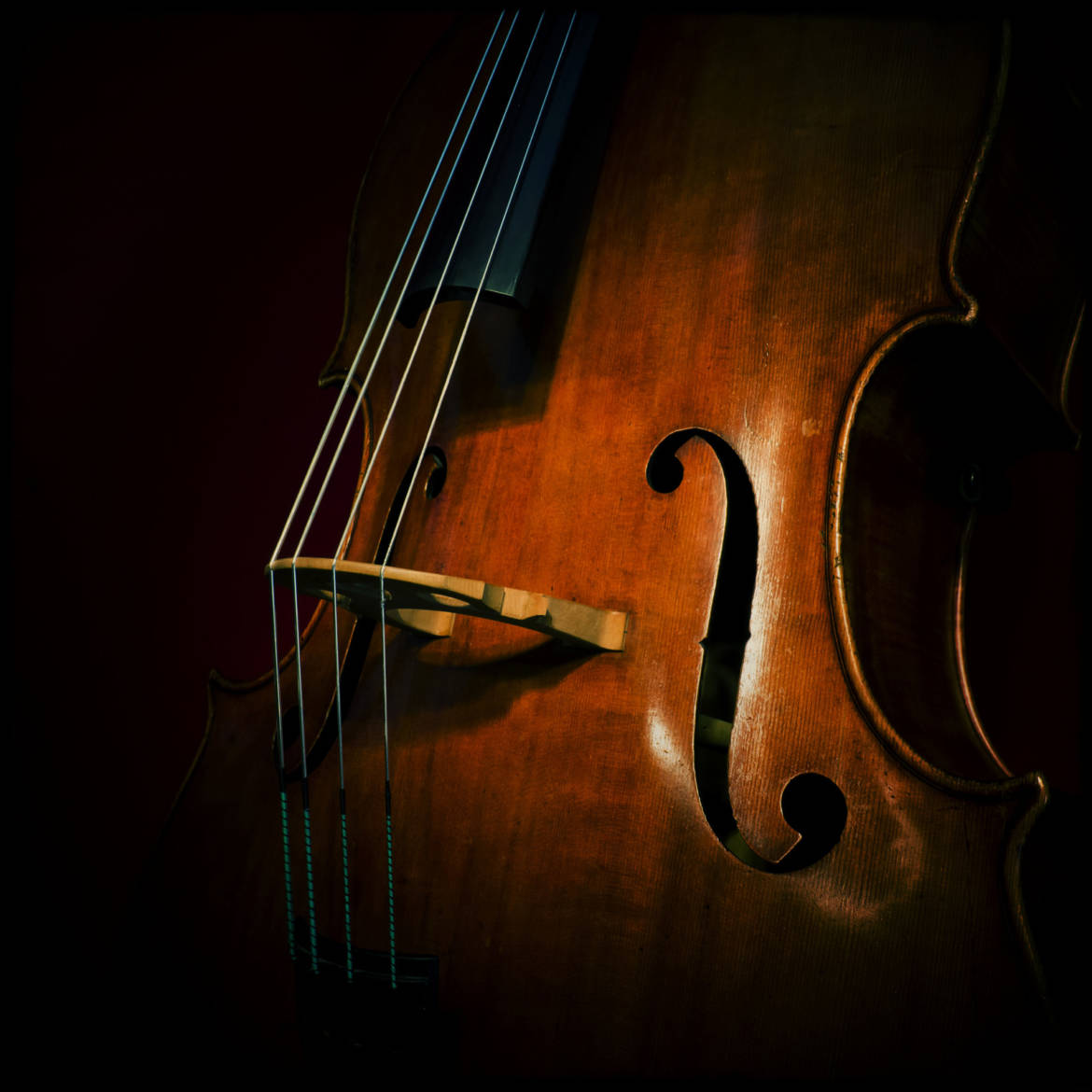 canstockphoto19311868.jpg